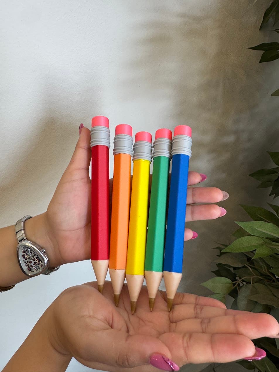 Lápiz Jumbo Pluma
